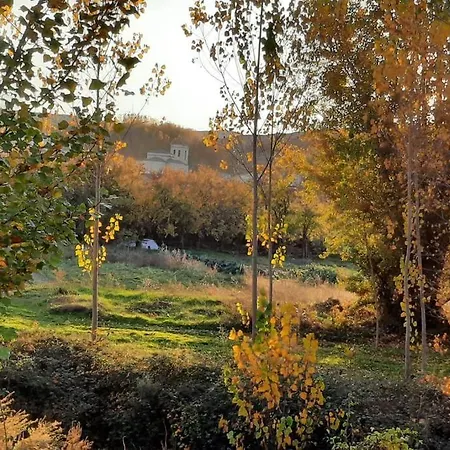 La Cuesta Verde. Mini Hogar Tatil Evi Adrada de Haza